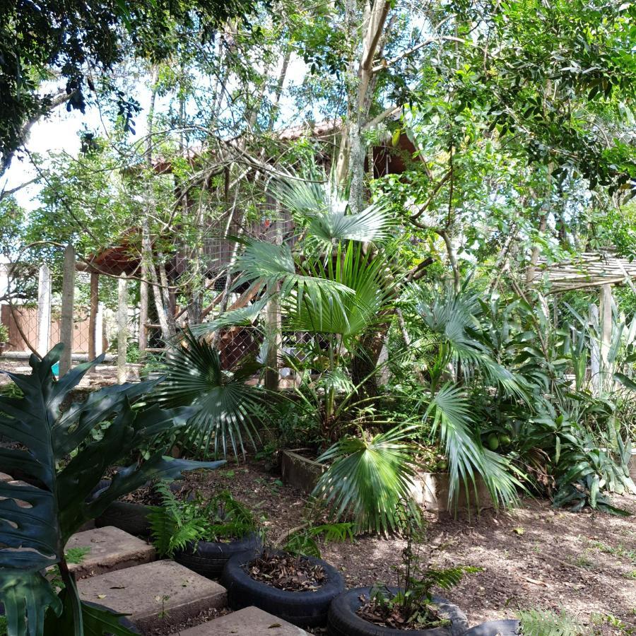 Cantinho Do Ceu - Espaco Ecologico Сао Педро Екстериор снимка